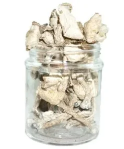 Order Albino Avery Magic Mushroom Online
