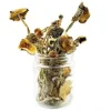 Buy Amazonian Magic Mushrooms Online