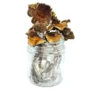 Aztec Magic Mushroom – Psilocybe Aztecorum