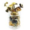 Golden Emperor Magic Mushrooms